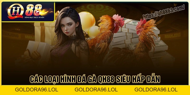 Đá gà QH88 - Sân chơi đá gà trực tuyến uy tín an toàn