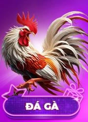 QH88 Paylor - Trang Chủ Đăng Ký / Đăng Nhập QH88 Chính Thức