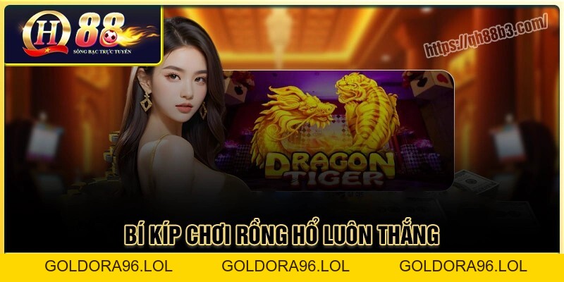 Rồng hổ Qh88 - Game bài đổi thưởng uy tín tại Qh88