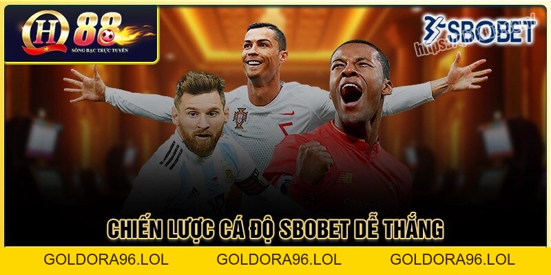 Sbobet Sport - Đặt cược thể thao đa dạng kèo chơi tại QH88